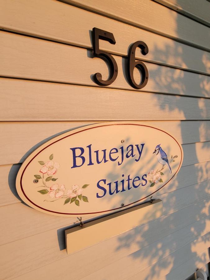 Bluejay Suites B&B Whitehorse Eksteriør billede